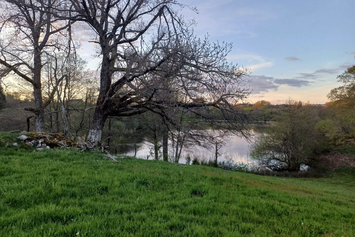 L. Bello Bivouac devant les lacs d'Auvergne