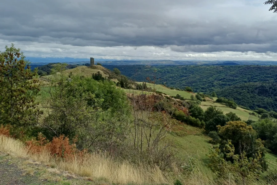 L. Bello Tour de Colombine