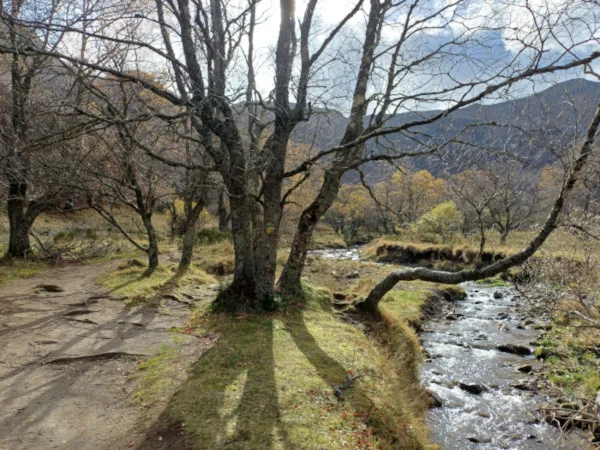 L. Bello randonnée forêt vallée chaudefour