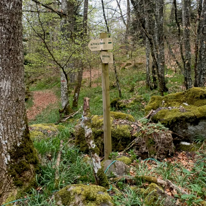 L. Bello PR randonnée au fil de la Sianne