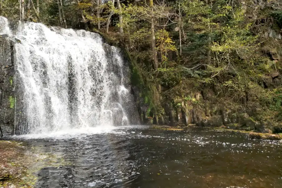 Cascade chaud de bois