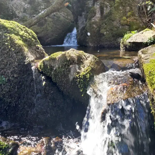 Cascade chaud de bois