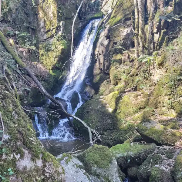 Cascade du Cézallier