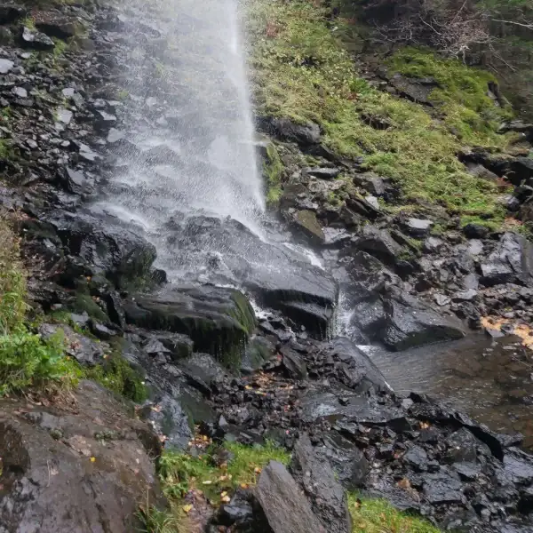 20221023_125049.webp
