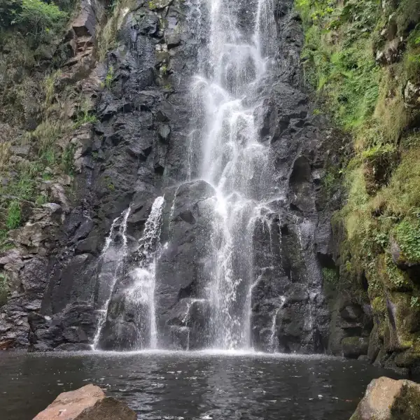 20230728_132443.webp
