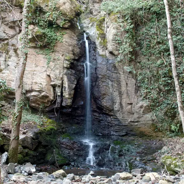 P2282102.webp