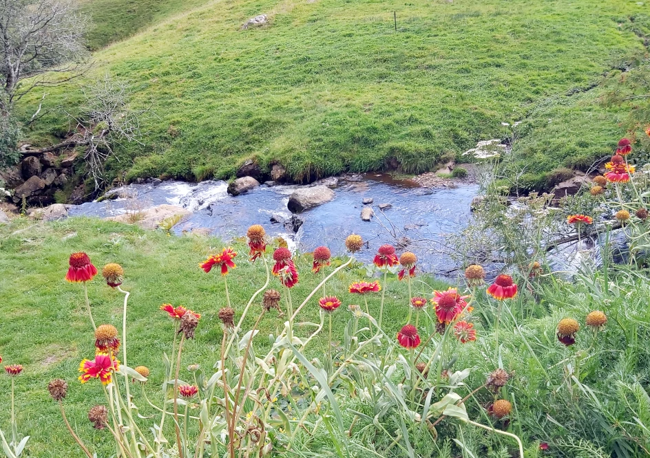 La couze d'Ardes, à Jassy