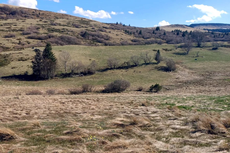 Les jolis paysages du Cézallier