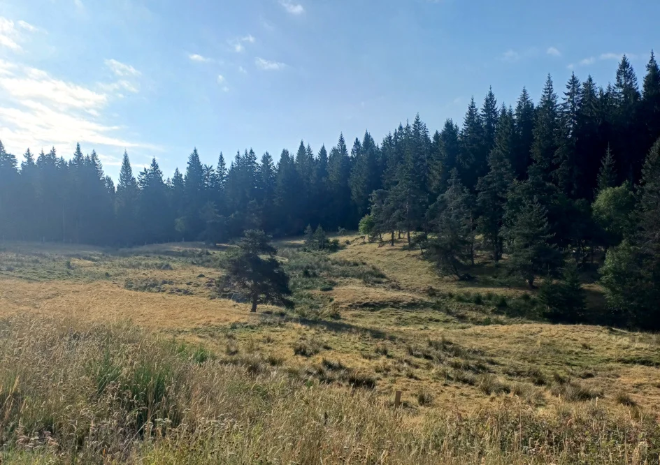 L. Bello Les belles forêts de la Margeride