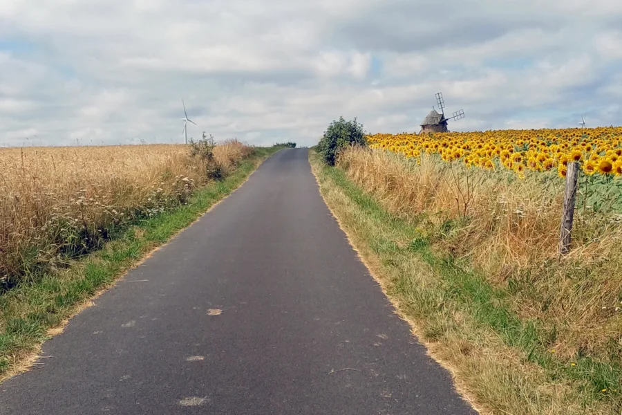 L. Bello Le plateau d'Ally et ses moulins