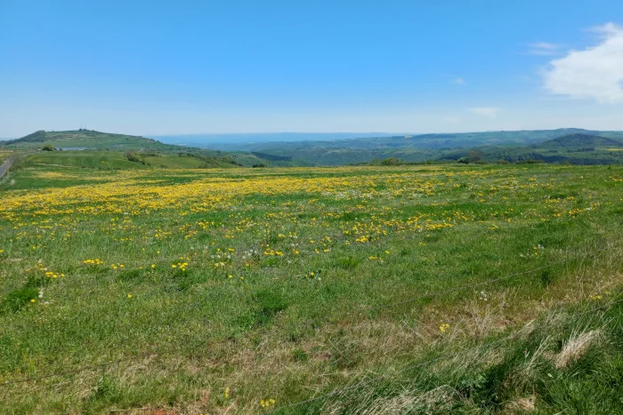 Panorama vallée de l'Arcueil