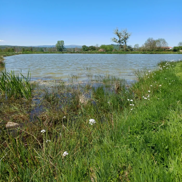 Sainte-Mary-le-Plain