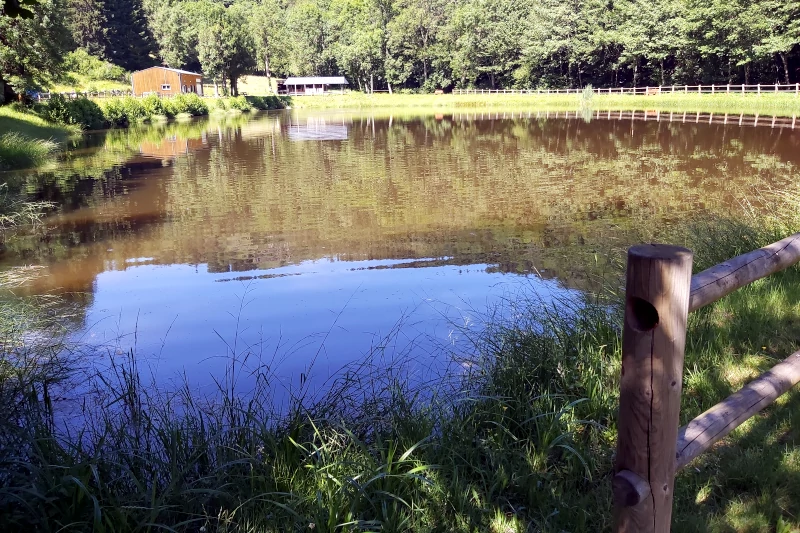 Etang de peche de Peyrusse, cézallier