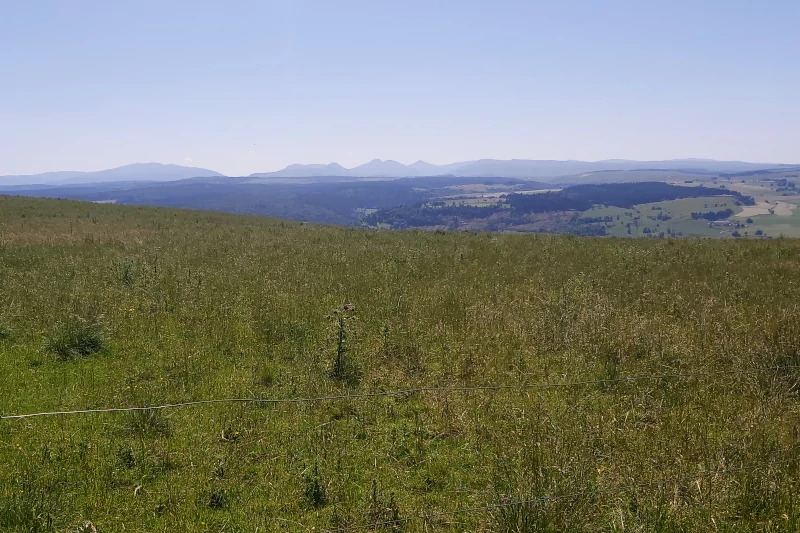 Vue sur le Cantal depuis le col de Combalut