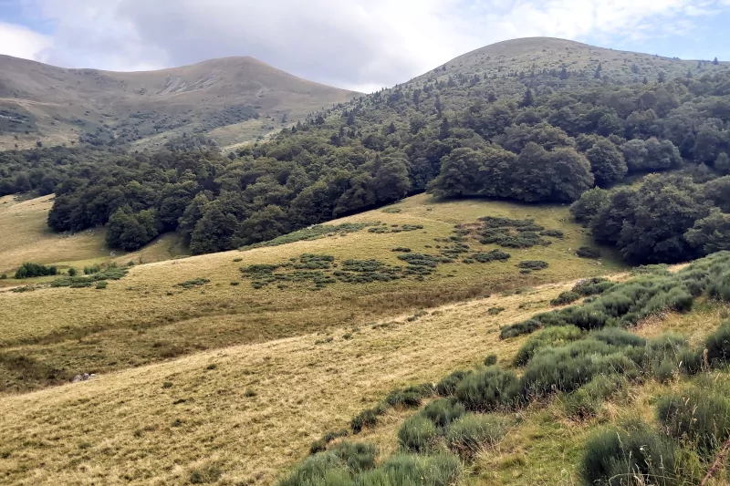 Puy de Mareilh et puy de Barbier