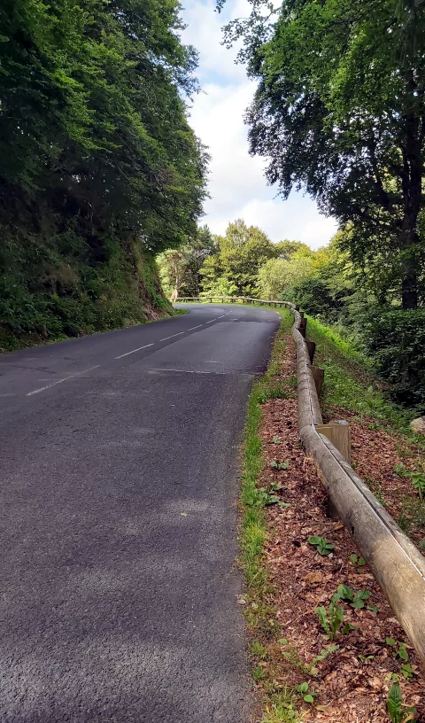 route ombragée forêt du guery