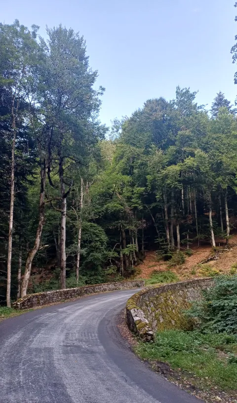 Magnifique petit pont traversé lors du col des Supeyres