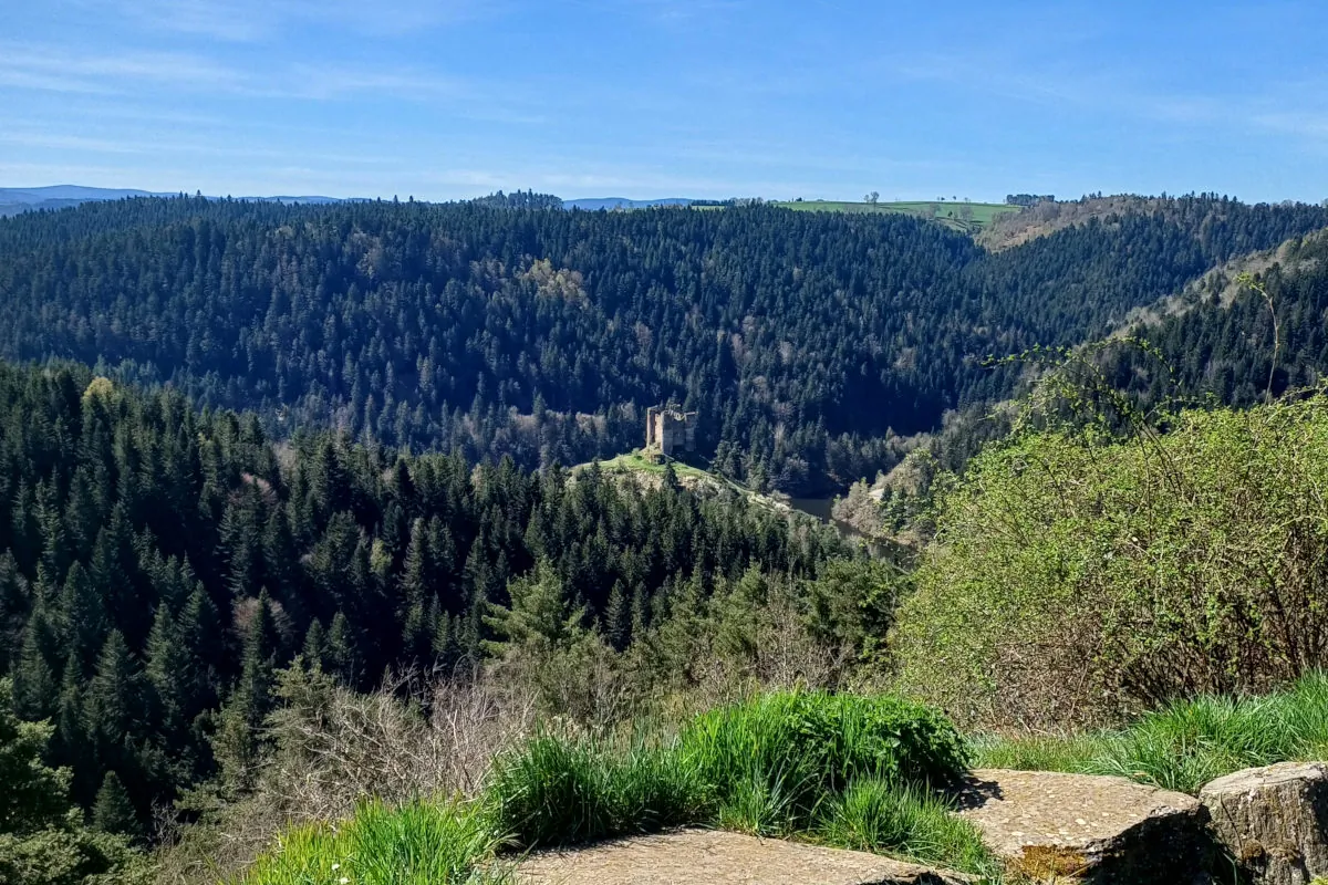 vue sur les ruines du château d'Alleuze