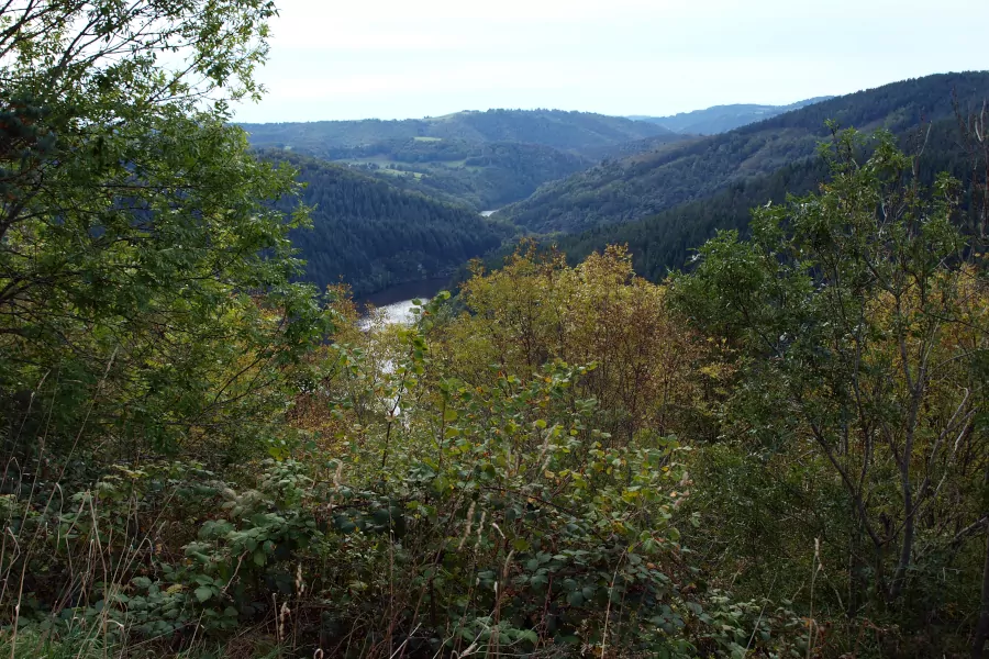 Panorama sur les gorges de la Truyère