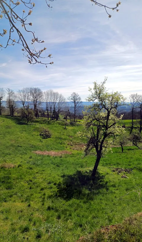 Les magnifiques paysages près de saint-flour