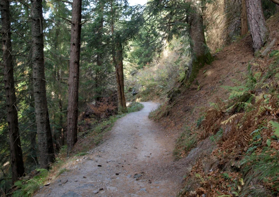 L. Bello Petit chemin en sous bois pour aller à la Grande Cascade du Mont-Dore