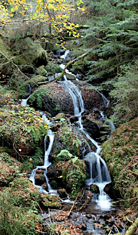 L. Bello Ruisseau lors de la montée vers la Grande Cascade du Mont-Dore