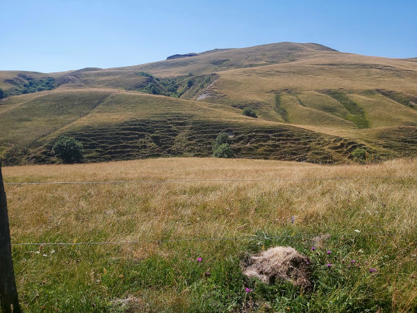 les Monts du Cézallier