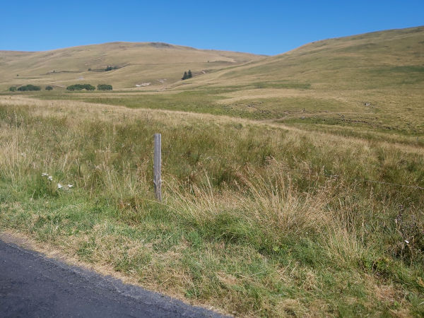 le plateau d'estive du Cézallier