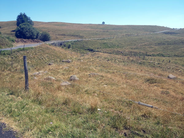 Montée d'Espinchal vers Montgreleix, Cézallier