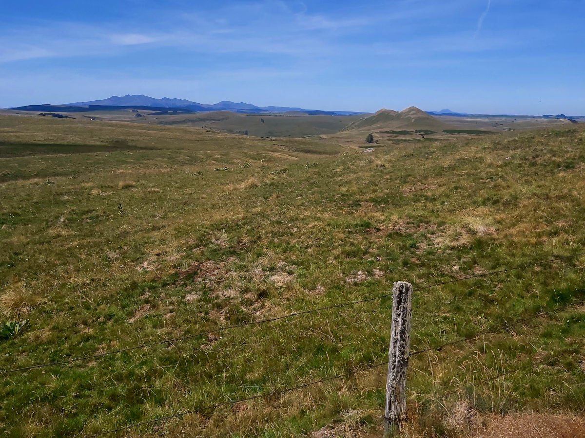 Panorama sur le Cézallier depuis le col de Vestizoux