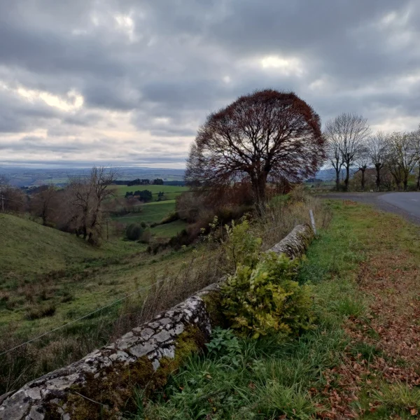 Vue sur l'Aubrac