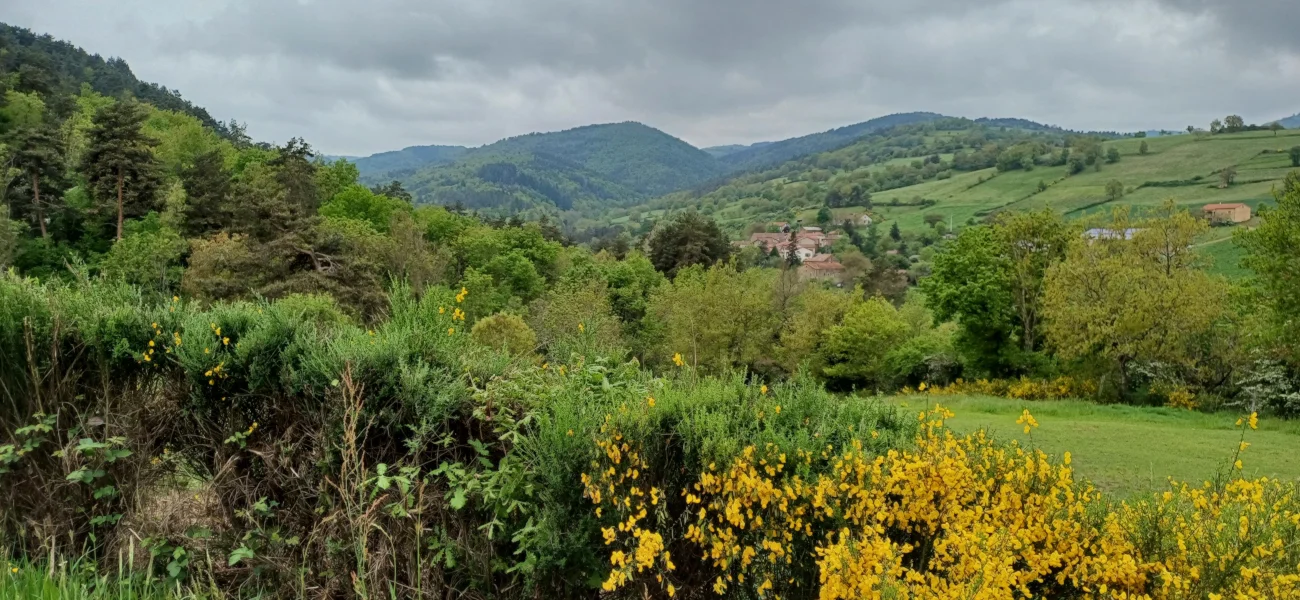 Territoire sauvage de la Margeride
