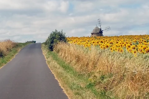 Le plateau d'Ally et ses moulins