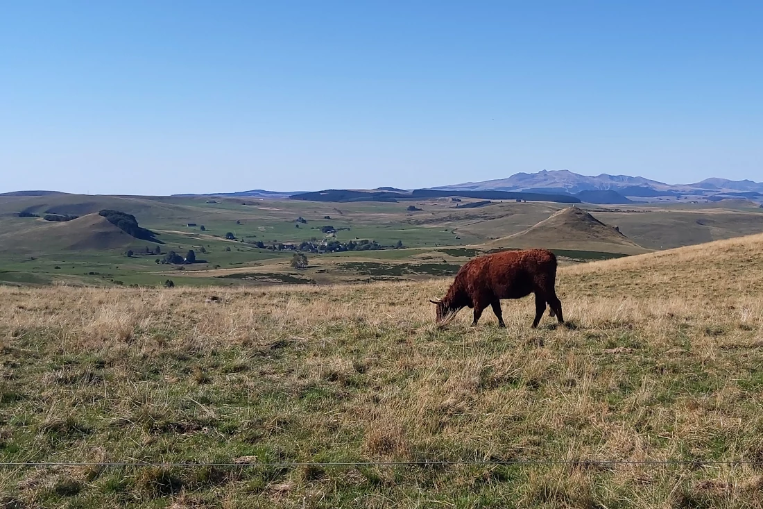 Vue sur le mont Chabrut et le Sancy, depuis le col de Vestizoux