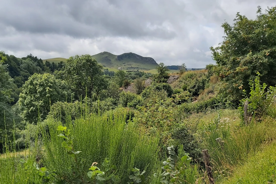 Le mont Chabrut - Saint Alyre Es Montagne