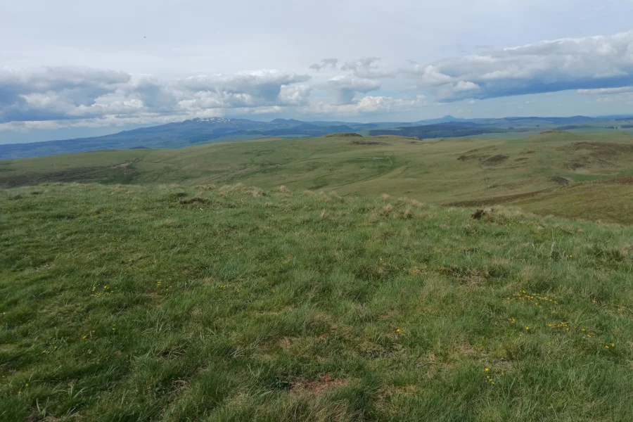 L. Bello Le panorama du Sancy depuis le mont Chamaroux