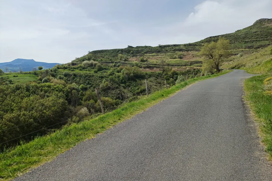 L. Bello Au loin, le mont Mézenc