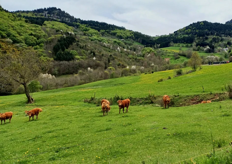 Magnifique descente dans la vallée de la Saliouse