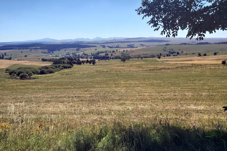 Les pradiers, vue sur le cantal