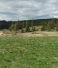 les tourbières du Cézallier