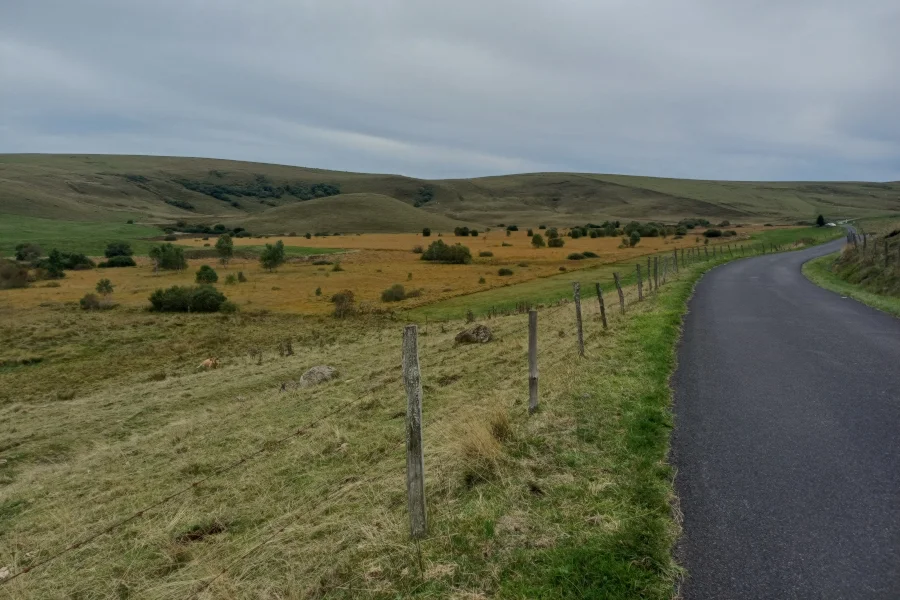 Tourbière des Chastelets, en automne