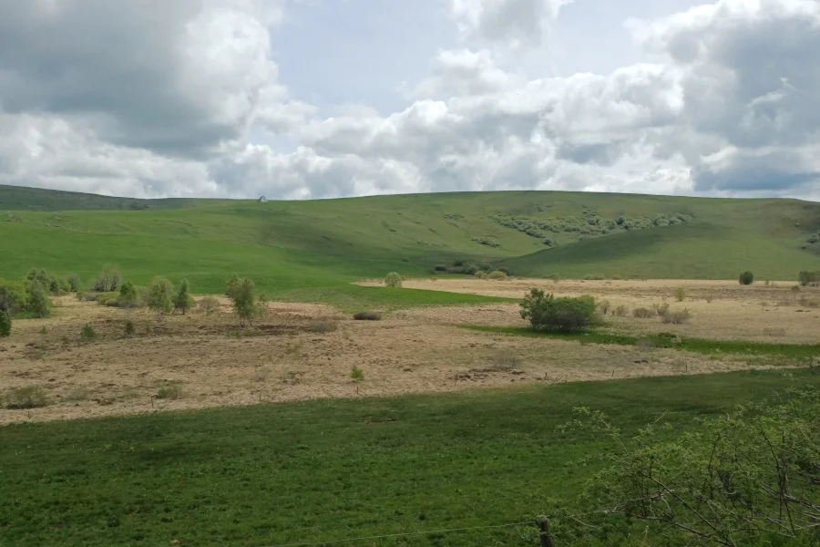 Tourbière des Chastelets, au printemps