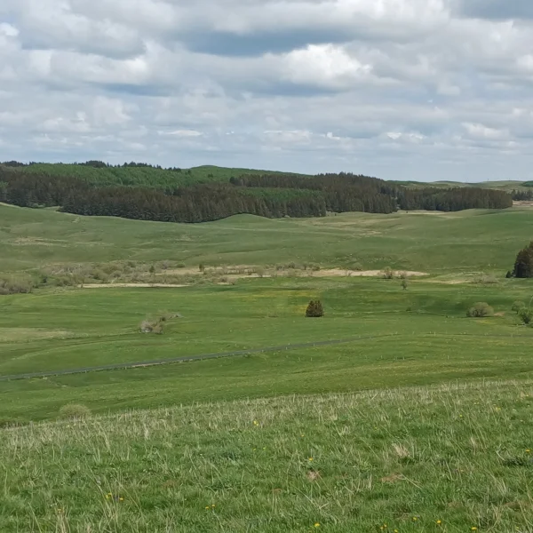 Tourbière des Chastelets, en automne
