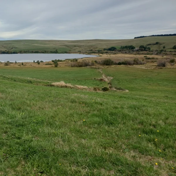 Tourbières du lac d'en Bas