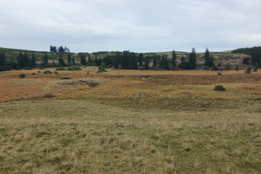 Tourbière de la plaine Jacquot