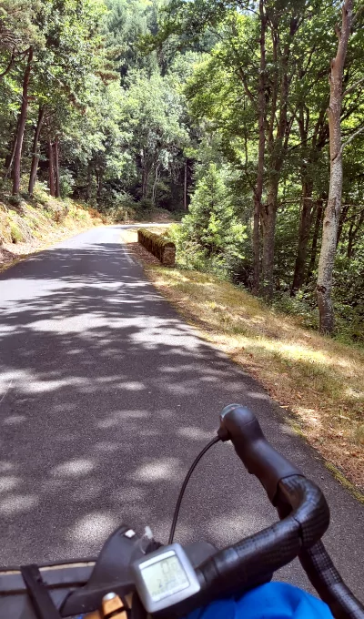 route ombragée sur la Via Allier