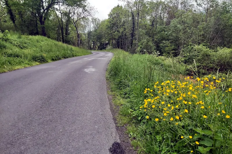 Route près de Vic-le-Comte