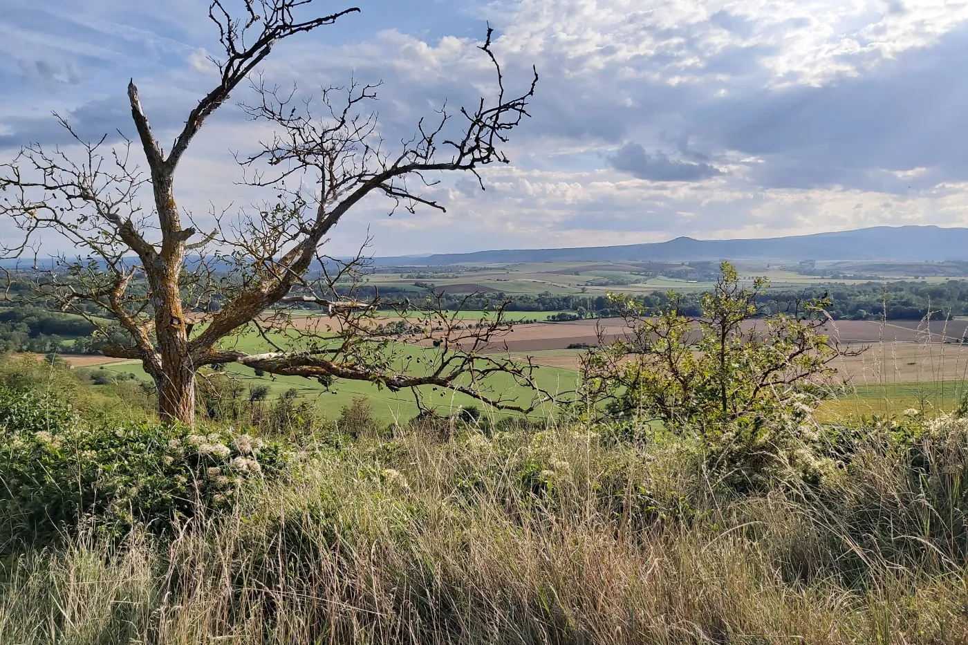 Vue sur le plateau du Cézallier depuis Nonette