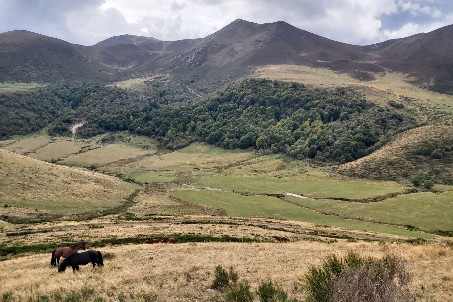 massif du sancy